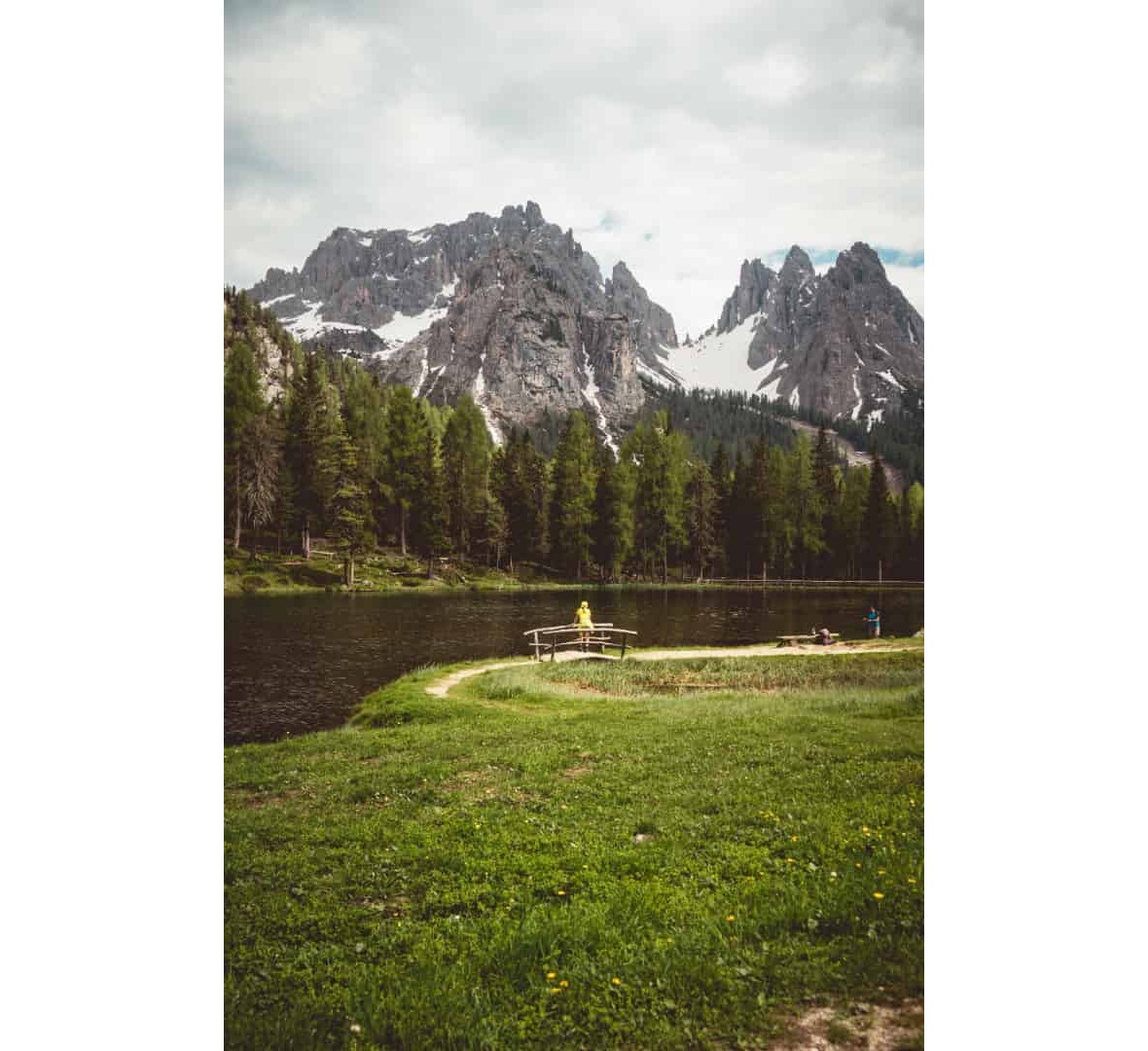 reddgio-H10AppEGa9k-unsplash (1) (1)